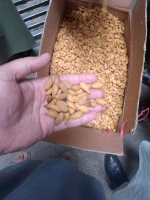 Dry fruits