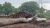 Import UNDERWATER LOGS from USA