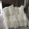 100% natural baled bleached white raw sisal fiber