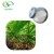 Import 100% Natural Herbal Extract Saw Palmetto Extract Powder with Palm Fatty Acid from China