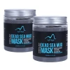100% Organic Beauty Face Mask Dead Sea Mud Mask