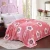 Import 100% Polyester Warmful Coral Fleece India Thin Blanket Microfiber Paraguay from China
