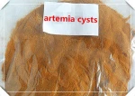 100% Pure Natural Fish Feed Dried Artemia Cysts