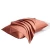Import 100%silk material and Yard Dyed pattern  silk pillowcase from China