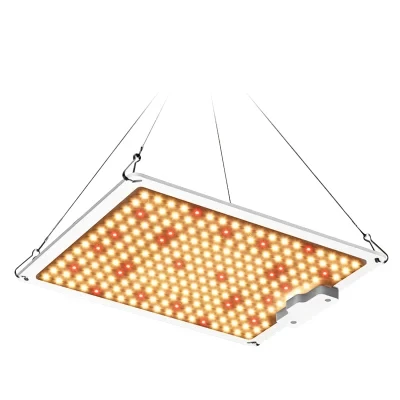 100W 200W 400W 600W Samsung Lm301b Lm301h Dimmable Driver High PPE Ppfd LED Grow Light