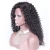 Import 16inch Peruvian Virgin Hair Afro Kinky Curly Full Lace Wig from China
