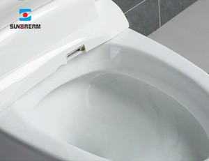2018 ceramic smart toilet IT9083