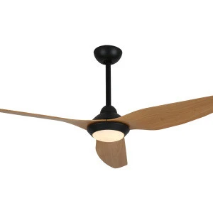 2018 fancy design ceiling fan with lights