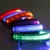 Import 2018 New Products/LED Carving Pet Collar from China