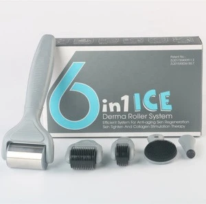 2019 Wrinkle Remover Feature 6 in 1 Microneedle Derma Rolling System with ice roller