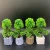 Import 2020 Artificial Plants Artificial Tree In Pots For Indoor Home Outdoor Landscaping Garden Decor from China