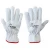 Import 2020 High Quality Cow Leather Driver gloves , Rigger Gloves, Working Gloves from Pakistan