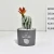 Import 2020 Hot Selling Pinrui New Home Decoration Ceramic pot  Cactus Artificial Succulent Plants from China