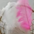 Import 2020 Most Popular Beautiful Designs Natural Ostrich Feather For Wedding Decoration from China