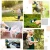 Import 2020 New 100ft Expandable Sprinkler Extensible Garden Hose Kit from China