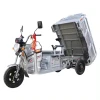 2024 New China Farm Use Load King Three-Wheeled Passenger Freight Transport Electric Tricycle for Cargo Max Body Trip Power