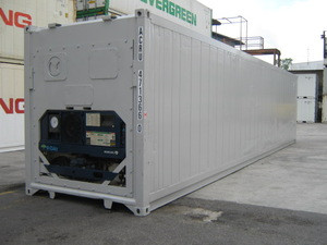 Buy 20gp 40gp 40hc Transporting Reefer Containers Cold Container ...