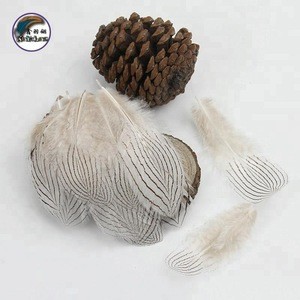 2.4-4.8 Inch(6-12 cm)Wholesale Quality Dyed Patterned Silver Pheasant Cusp Feather for Decorations