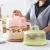 Import 25*25*13cm  Plastic cake holder cup cake carrier cheap wedding cake container from China