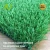 Import 30mm no infill artificial grass carpet soccer field lawn artificial football lawn for sale from China