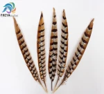 35-40cm Natural Reeves Pheasant Feathers plumas de faisan