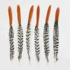 4-6 Inch(10-15 cm)Chinese Top Manufacturer Wholesale Cheap Short Natural Orange Tips Lady Amherst Pheasant Feather