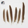 4-8 Inch(10-20 cm)Wholesale High Quality Natural Color Large Size Female Pheasant Tail Feather for Decorations