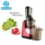 Import 55RPM DC motor household use vertical Wide mouth  citrus and vegetable masticationg slow juicer from China
