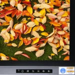 65 Inch Capacitive Touch Screen whiteboard With Camera speaker Microphone