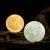 Import 8-24cm LED Night Light 3D Printing Moon Lamp, Warm and Cool White Dimmable Touch Control from China