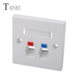 86*86MM 2 port RJ11/RJ45 faceplate, interface 45 degree network faceplate