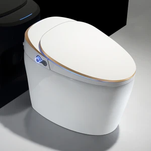 Advanced sanitary ware automatic sensor flushing wc bathroom toilet bowl ceramic inodoro inteligente one piece smart toilet