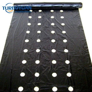 agricultural perforated plastic film black mulch film for strawberry