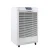 Import Air Dryer Easy Mini Dehumidifier 50L from China