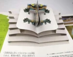 Amazing coloring 3D  handmade pop-up book printing