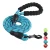 Import Amazon Best Seller Round Rope Durable Reflective Nylon Dog Bungee Leash with Soft Padded Handle from China