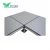 Import Anti-Static All-Steel Raised Floor Panel from China