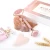 Import Aoyoe Amazon hot sell real pink crystal High Quality Facial massage Jade Roller natural Rose Quartz Jade Roller And Gua sha Set from China