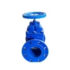 API Standard Flange Gate Valve DN100 304 316L Manual Slag Discharge Type Gate Valve