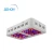 Import Apollo 6 LED grow lights Red/Blue UV IR led grow lights full spectrum from China