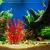 Import Artificial  Lifelike Colourful Aquatic Plant, Fish Tank Aquarium Decoration Ornament Plants from China