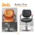 Import beauty salon equipment/barber chair L8 from China
