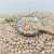 Import best quality chickpea/chick pea market price HPS from China