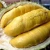 Import Best Quality Fresh /Frozen Durian From South Africa from South Africa