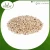 Import Best Quality White Sorghum At Affordable Price from India