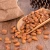 Import Best raw pine nuts siberian exporter pine nuts russia from China