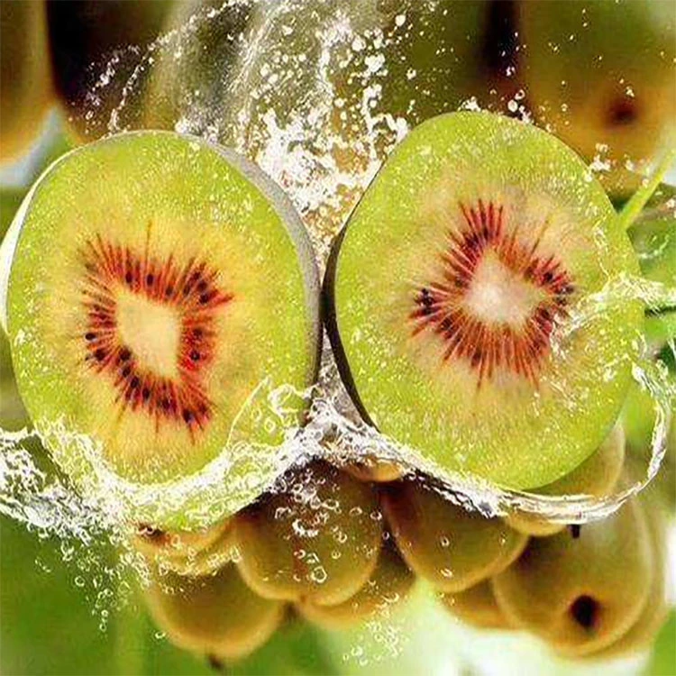 Best selling Certified Wholesale  Fresh Red heart sweet Kiwi Fruits supplier