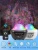 Import Best-selling rechargeable  star-projected disco LED party lights from China