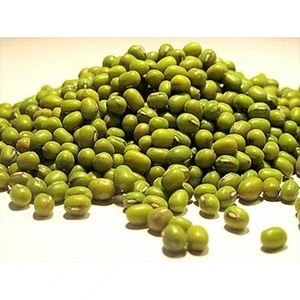 Best Supply Green Mung Beans/Vigna Adzuki Beans/ Cowpea for sale