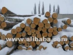 Birch Logs